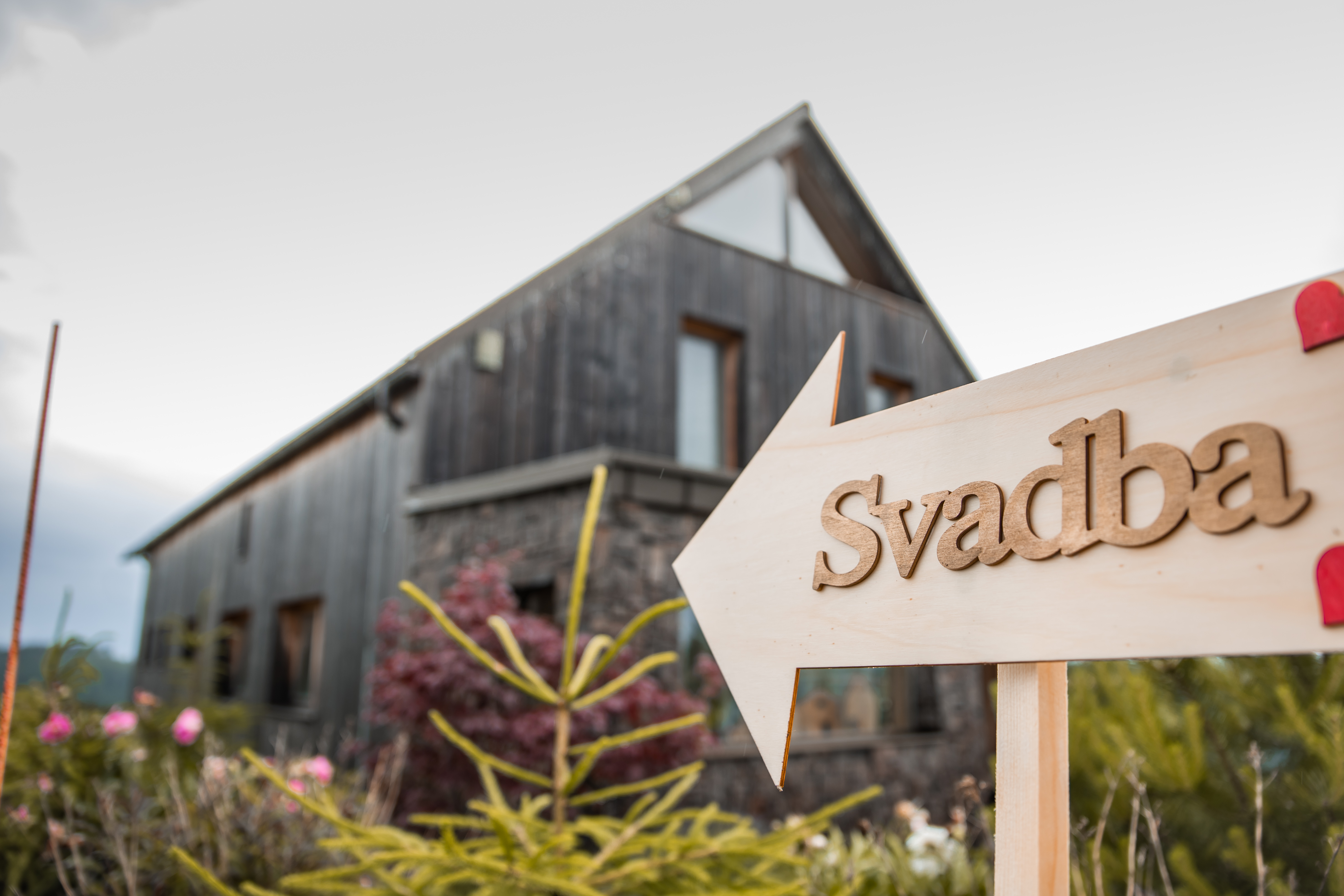 Svadobná fotografia